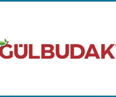 DBA-GULBUDAK-1